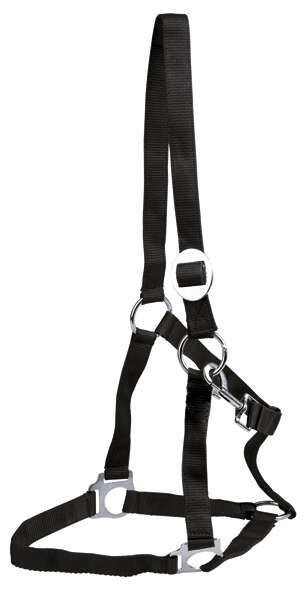 KANTRIE Perlonhalfter